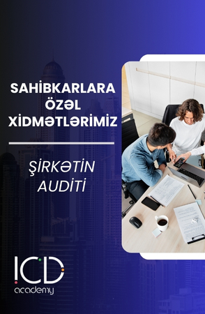 Şirkətin Auditi